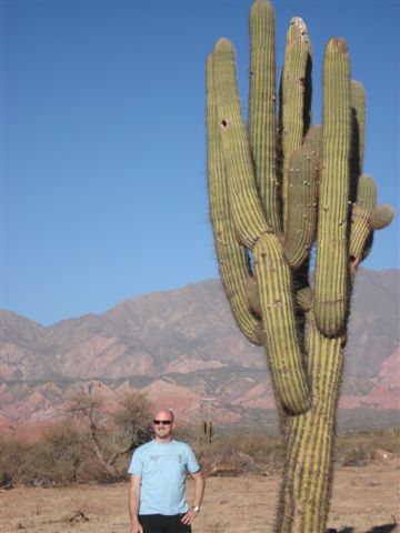 davic cactus